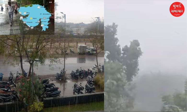 Unseasonal rains lashed 103 talukas in Gujarat; 7 inches of rain in Mahuva, Bhavnagar, farmers' concerns increased