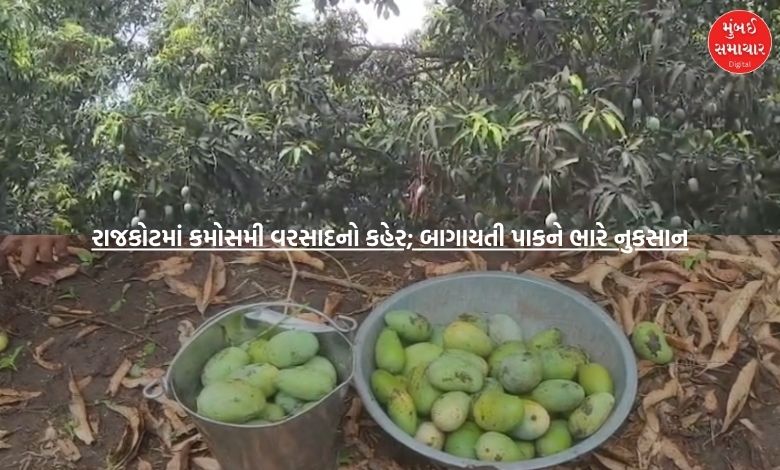 VIDEO: Unseasonal rains wreak havoc in Rajkot; Horticultural crops suffer heavy losses, farmers worried