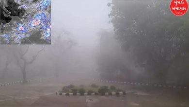 Two Western Disturbance Systems are active simultaneously in the country, heavy rain with strong winds predicted in many states for seven days
