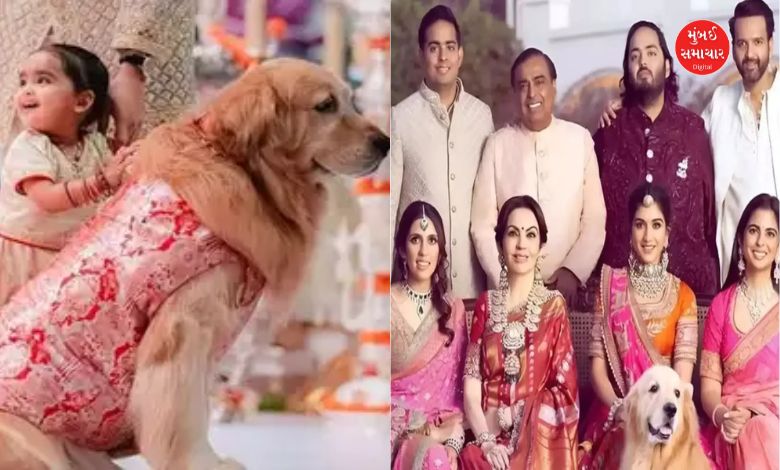 This special member of the Ambani family left the family, the family wrote an emotional note...