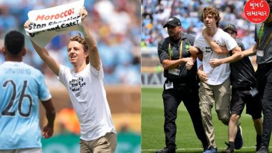 A young man's campaign on the field of a football World Cup match... `Stop shooting dogs and cats'