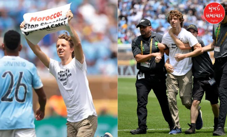 A young man's campaign on the field of a football World Cup match... `Stop shooting dogs and cats'
