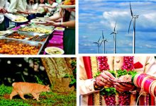 પીએચ.ડી.ની ડિગ્રી, કેન્ટિન મેનેજરની નોકરી