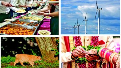 પીએચ.ડી.ની ડિગ્રી, કેન્ટિન મેનેજરની નોકરી