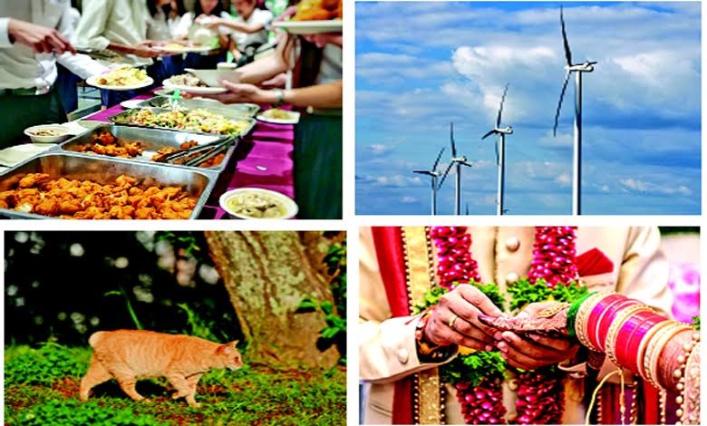 પીએચ.ડી.ની ડિગ્રી, કેન્ટિન મેનેજરની નોકરી