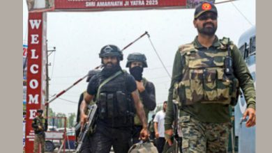 અમરનાથ યાત્રા માટે સઘન સુરક્ષા વ્યવસ્થા, યાત્રા પૂર્વે સુરક્ષા દળોએ સફળ મોક ડ્રીલ હાથ ધરી