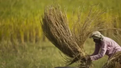 Agricultural loan waiver and Yoga Day