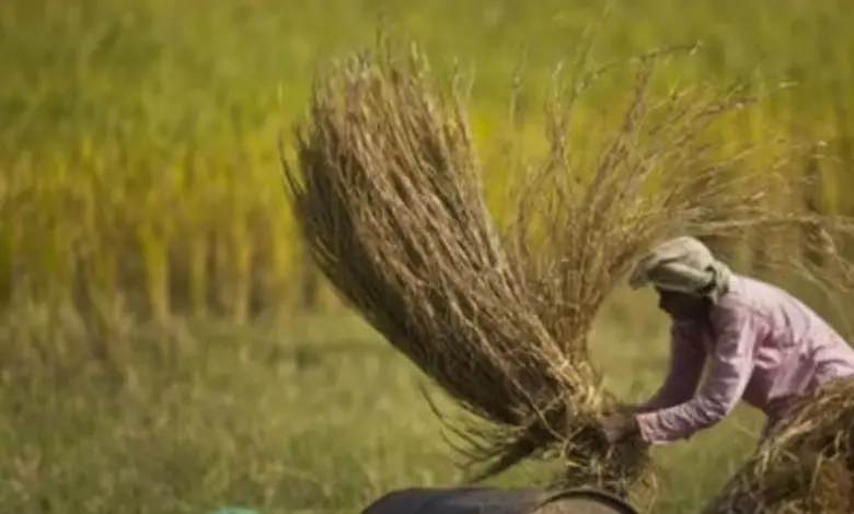 Agricultural loan waiver and Yoga Day