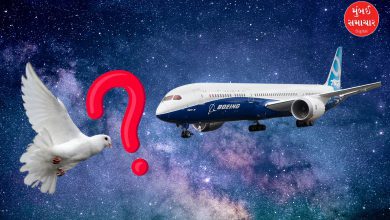 Ahmedabad plane crash The mystery of the bird hit