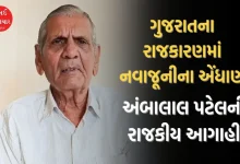 અંબાલાલ પટેલ પ્રેફિક્શન