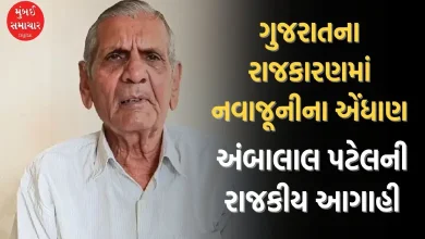 અંબાલાલ પટેલ પ્રેફિક્શન