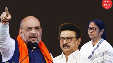 ‘તમિલનાડુ અને બંગાળમાં પણ NDA સરકાર બનશે’, અમિત શાહે સ્ટાલિન-મમતાને પડકાર ફેંક્યો