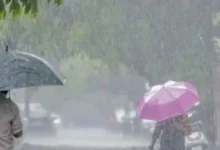 અમરેલી વરસાદ અપડેટ