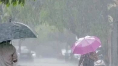 અમરેલી વરસાદ અપડેટ