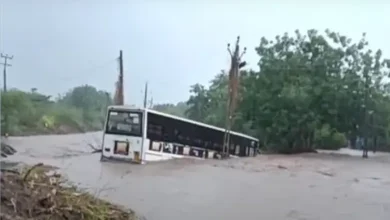 સૌરાષ્ટ્રમાં ધોધમાર વરસાદ: અમરેલીમાં ST બસ પાણીમાં ફસાઈ, ભાવનગર જળબંબાકાર