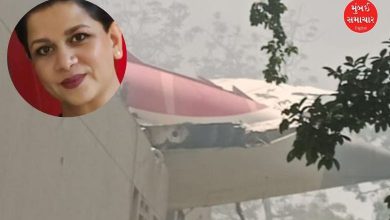 Aparna Mahadik Air India plane crash