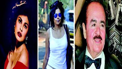 ભાત ભાત કે લોગ- કામણગારી કોલગર્લ પામેલા બોર્ડસ અત્યારે ક્યાં છે?