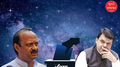 BJP Pimpri Chinchwad Election 2025