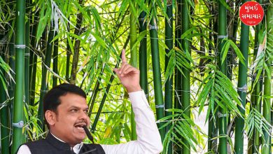 Bamboo Mission Fadnavis