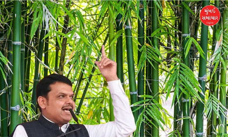 Bamboo Mission Fadnavis