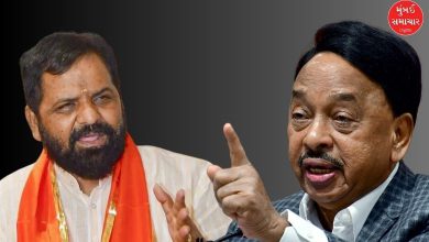 શિવસેનાના પ્રધાન ભરત ગોગાવલેએ ભાજપના સાંસદ નારાયણ રાણે પર ગંભીર આરોપો લગાવ્યા