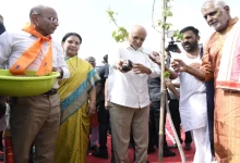 'મિશન ફોર મિલિયન ટ્રીઝ': ભૂપેન્દ્ર પટેલે ‘સિંદૂર વન’ના નિર્માણનો કરાવ્યો શુભારંભ