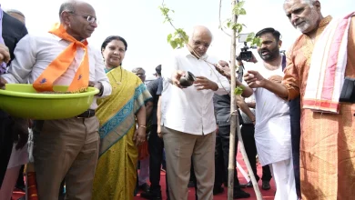 'મિશન ફોર મિલિયન ટ્રીઝ': ભૂપેન્દ્ર પટેલે ‘સિંદૂર વન’ના નિર્માણનો કરાવ્યો શુભારંભ