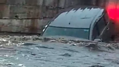 Megh Meher in Gujarat: Rain in 72 talukas in 2 hours, 6 missing after Eco car overturns in Botad...