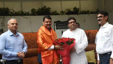 રાજકીય હલચલ ઝડપી બની! મુખ્ય પ્રધાન ફડણવીસ અને રાજ ઠાકરે મળ્યા