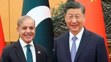 ચીન પાકિસ્તાન સાથે મળીને રમી રહ્યું છે નવી કૂટનીતિક રમત, સાર્ક ને બદલવાની કવાયત