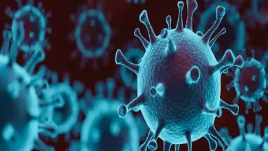 અમદાવાદ કોરોના અપડેટ