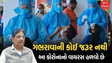 ઋષિકેશ પટેલનું નિવેદન