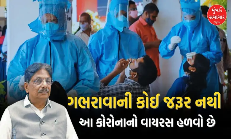 ઋષિકેશ પટેલનું નિવેદન