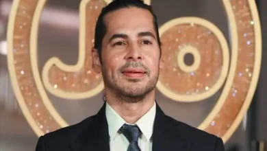 મીઠી નદી સ્કેમ