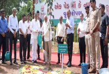 ગુજરાતનું ગૌરવ: "એક પેડ માં કે નામ" અભિયાનમાં ૧૭.૪૮ કરોડ વૃક્ષો વાવી દેશમાં બીજા સ્થાને