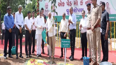 ગુજરાતનું ગૌરવ: "એક પેડ માં કે નામ" અભિયાનમાં ૧૭.૪૮ કરોડ વૃક્ષો વાવી દેશમાં બીજા સ્થાને