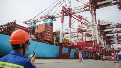 ભારત નિકાસ