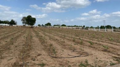 ગાંધીનગરઃ સગાઈનું નાટક રચી ખેડૂતની ₹32.66 કરોડની જમીન પચાવી પાડી