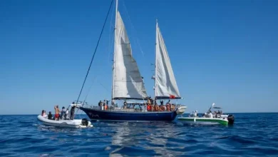 ગાઝા સુધી સહાય પહોંચડવા 12 એક્ટિવિસ્ટનું સાહસ