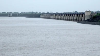 Gujarat receives 43.76 percent of the season's rainfall from Meghrajani Mehr: 25 reservoirs on high alert!