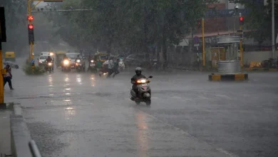 ગુજરાતમાં વરસાદની આગાહી