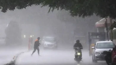 ગુજરાતમાં વરસાદની આગાહી