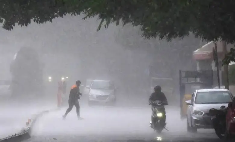 ગુજરાતમાં વરસાદની આગાહી