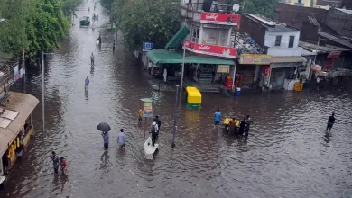 સૌરાષ્ટ્ર અને દક્ષિણ ગુજરાતમાં ભારે વરસાદને લઈ મુખ્ય પ્રધાને શું આપી સૂચના?