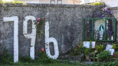 આયર્લેન્ડમાં 800 શિશુઓની સામૂહિક કબર