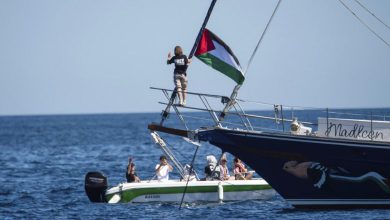 ગાઝા જતી સહાય બોટ મેડલીન પર ઇઝરાયેલનો હુમલો: ગ્રેટા થનબર્ગ સહિત 12 એક્ટિવિસ્ટની ધરપકડ