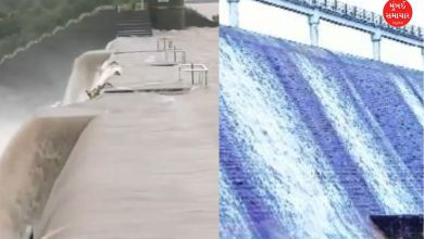 Several dams including Ranjitsagar overflowed in Jamnagar, low-lying areas alerted