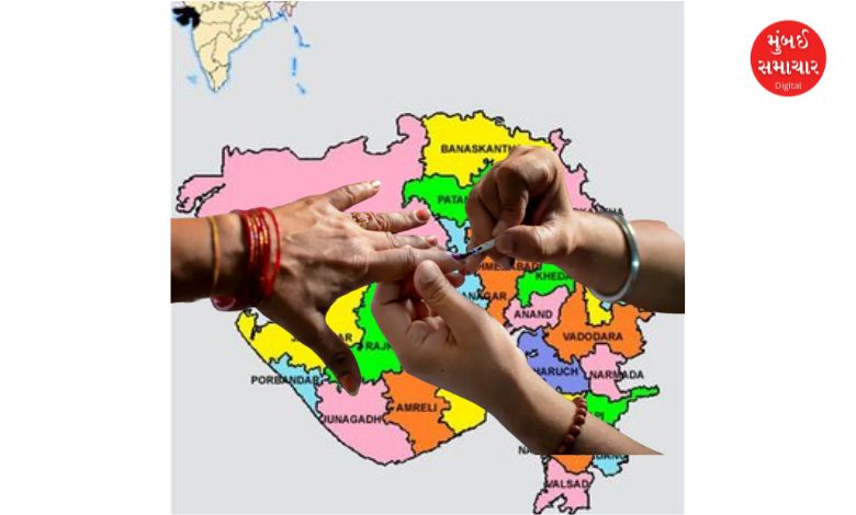 Kadi and Visavadar by-elections