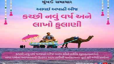 કચ્છી નૂતન વર્ષની ઉજવણી બની ગ્લોબલ : અમેરિકા, ગ્રેટ બ્રિટન,અખાતી દેશો અને પાકિસ્તાનના સિંધ પ્રાંતમાં અષાઢી બીજ ઉજવાઈ