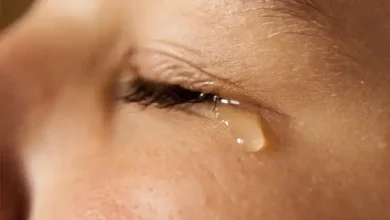 Kutch Chowk Andhi Nakshatra Rain